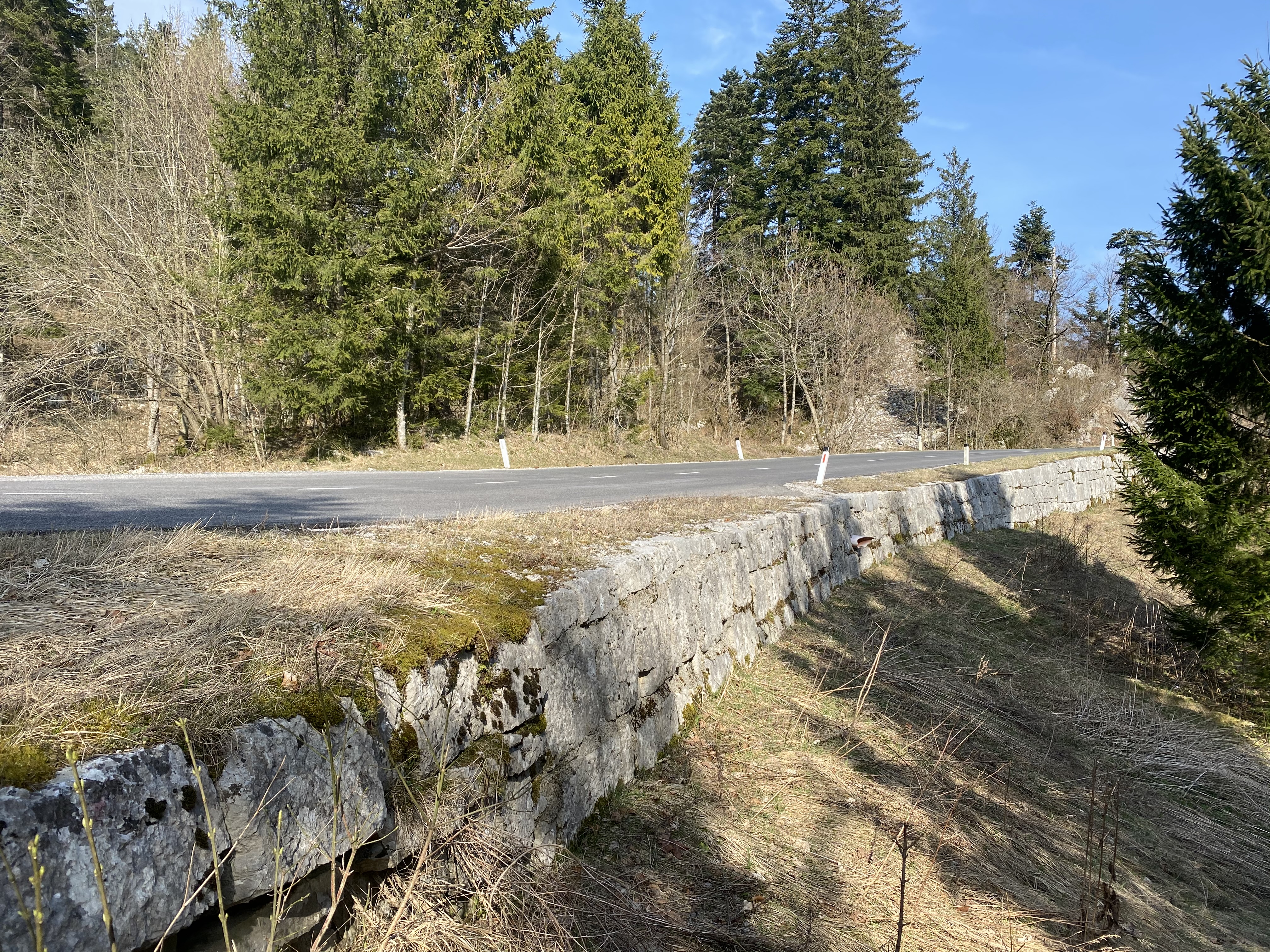 BANKA CESTNIH PODATKOV